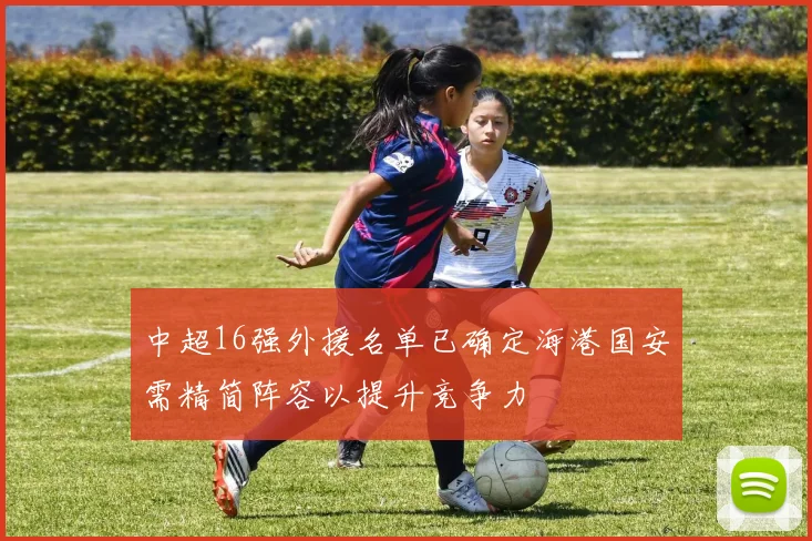 中超16强外援名单已确定海港国安需精简阵容以提升竞争力